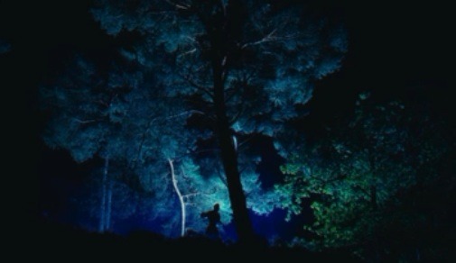 Referentiestill: een silhouet tussen blauw verlichte bomen